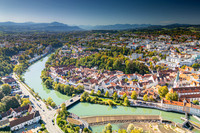 Kempten, Illertal, Kühe 09-2026